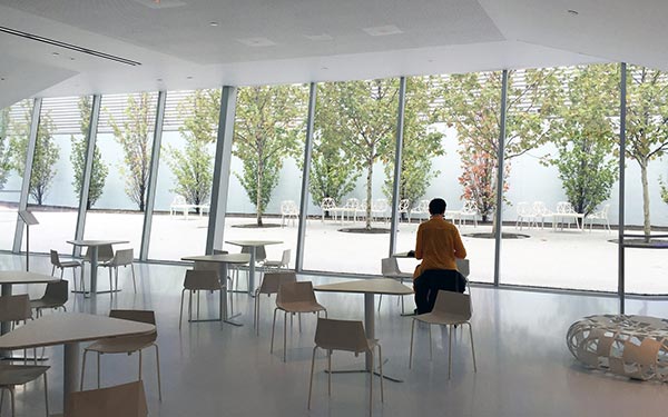 central skyscraper all glass structure