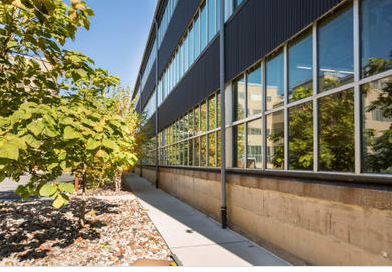 Why do we choose window wall?